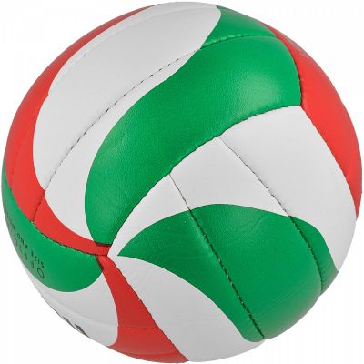 2. Molten V5M1900 Volleyball