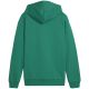 8. Puma Team Goal Casuals Hoddy Jr Sweatshirt 658619 05