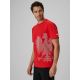 4. Herren-Baumwoll-Fächer-T-Shirt 4F 4FRSS26TTSHM4200-62S