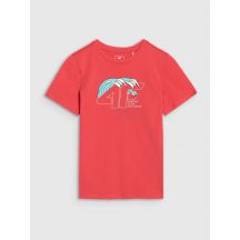 T-Shirt 4F Jr 4FJWSS25TTSHM1917-63S