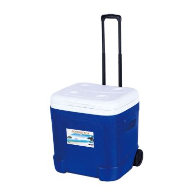 Sportkühlbox auf Rädern 55 Liter 100827