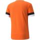 2. Puma teamRise Trikot M 704932 08