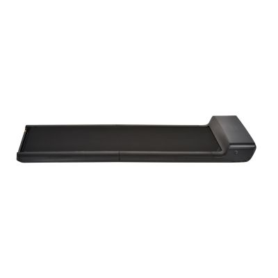 60. Kingsmith Walking Pad WPA1F PRO Elektrisches Laufband