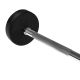 44. Gummierte Festhantel/Stange HMS 40 kg GSG-40 