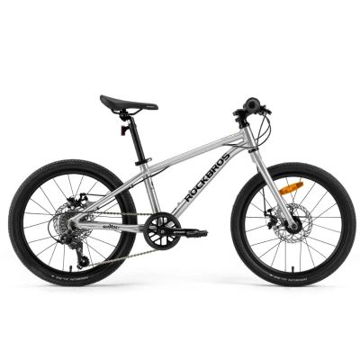 ROCKBROS Fahrradstoßdämpfer Modell DARWIN 20 Zoll