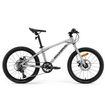 ROCKBROS Fahrradstoßdämpfer Modell DARWIN 20 Zoll