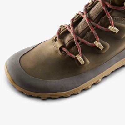 6. Vivobarefoot TRACKER LEATHER AT HERREN Braune Schuhe (30953302)