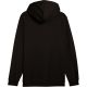 3. Herren-Hoodie Puma ESS 2 Color Small No.1 Logo Hoodie schwarz 684718 01