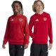2. Adidas Arsenal London Jr IT4091 Sweatshirt