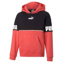 Puma Power Colorblock Jr Sweatshirt 670205 35
