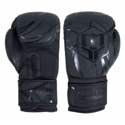 MASTERS RPU-COLOR/COLOR Boxhandschuhe