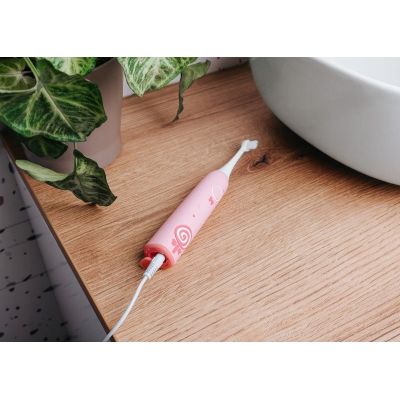 12. Pinke Schallzahnbürste ZK6010 CONCEPT