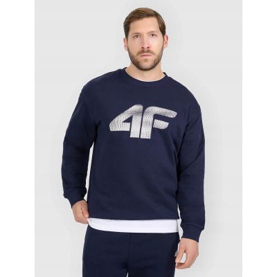Herren-Sweatshirt ohne Reißverschluss und Kapuze 4F 4FRMM00TSWSM2479-31S