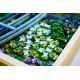 13. LEGO Art 31220 – Claude Monet: Die Brücke über den Seerosenteich