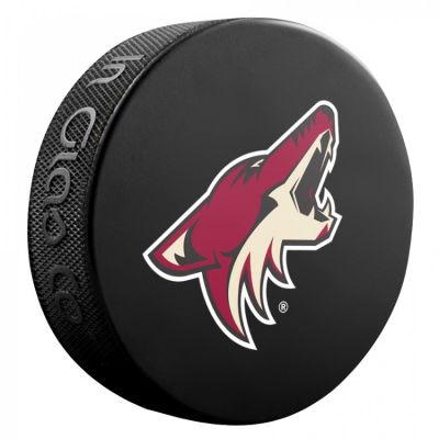 9. Souvenir Inglasco NHL Basic Hockeypuck 510AN000400