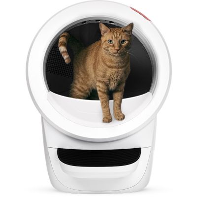 WHISKER LITTER-ROBOT 4 - WEISS - EU