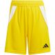 8. adidas Tiro 24 Jr IT2410 Shorts
