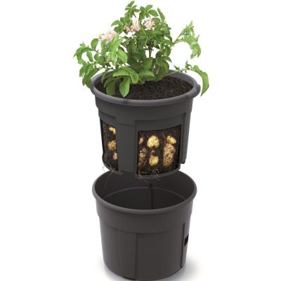 16. Kartoffeltopf, Durchmesser 39,2 cm