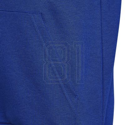 4. adidas Big Logo Essentials Hoody Jr HN1912 Sweatshirt