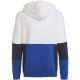 7. Adidas Colourblock Hoodie Jr HG6826 Sweatshirt