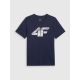 Herren-T-Shirt 4F 4FRMM00TTSHM3251-31S