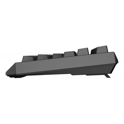 10. GENESIS Thor 230 TKL Gaming-Tastatur USB + RF Wireless + Bluetooth QWERTY US English Schwarz