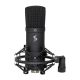 11. STAGG SUM45 Set - USB-Kondensatormikrofon