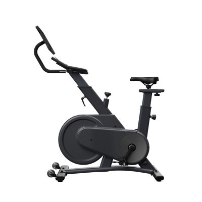 114. OVICX Q200X magnetisches Heimtrainer-Fahrrad mit 15,6" TFT-Touchscreen, WIFI, Bluetooth und App