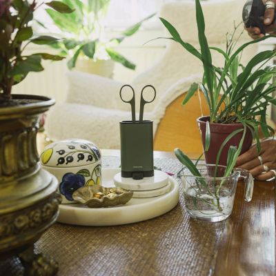 6. FISKARS Plant Care Topfpflanzen-Pflegewerkzeugset (1075317) (3-teilig)