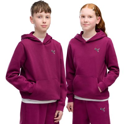 Puma ESS Elevated Hoodie FL Fuchsia 694701 41