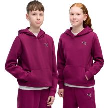 Puma ESS Elevated Hoodie FL Fuchsia 694701 41