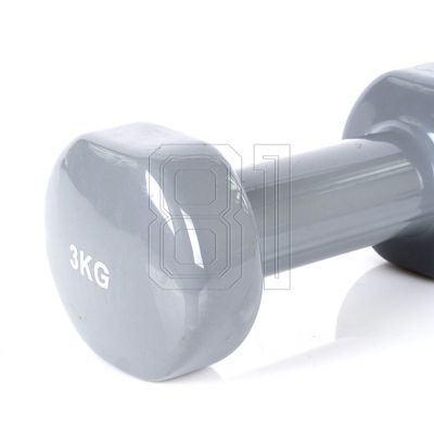 21. Vinyl dumbbell PROfit 0.5kg DK 4102