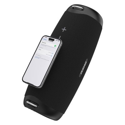 4. Dudao Y21Pro Kabelloser Lautsprecher mit RGB-Hintergrundbeleuchtung, Bluetooth 5.3 – Schwarz