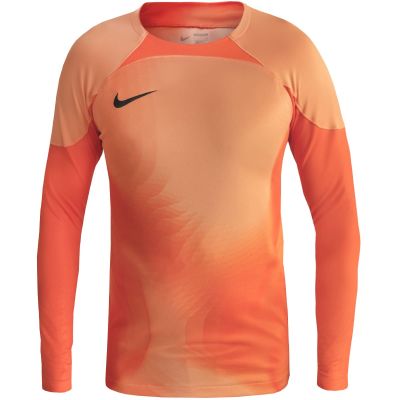 2. Nike Gardien IV Torwart JSY M DH7967 819