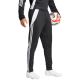 10. adidas Tiro 24 Training M P1952 Hose
