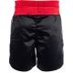 9. Kick Light Shorts MASTERS "HEXAGON" (WAKO APPROVED)