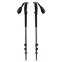 Black Diamond Trail Trekkingstöcke Pine Smoke