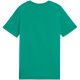 5. Puma Team Goal Casuals Tee Jr 658616 05