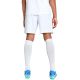 12. Puma Team Goal Herrenshorts weiß 705752 04