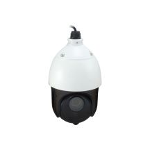 LevelOne IPCam25xZ 2MP/H.265/IR/20W/PoE/IP66 PTZ Dome-Ausgang
