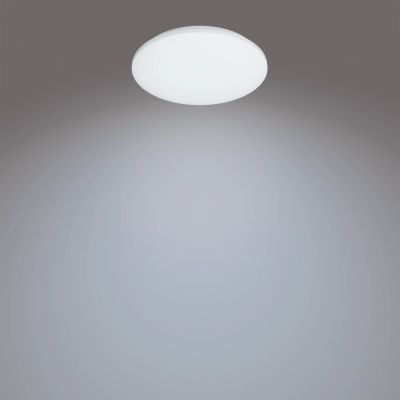 12. Philips Functionality Izso 40W Deckenleuchte