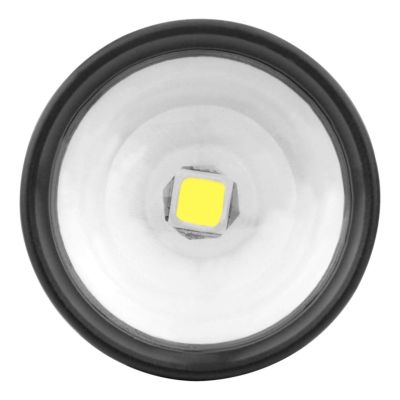 11. Ansmann T600FRB Schwarze LED-Handtaschenlampe