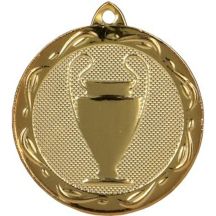 Goldmedaille, allgemeine Stahlmedaille