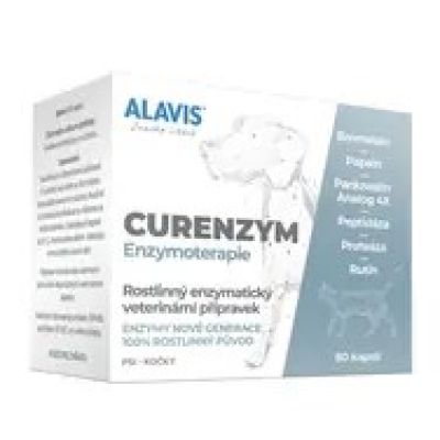 ALAVIS CURENZYM Enzymtherapie 80 Kapseln