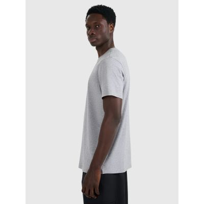 4. Herren-T-Shirt mit Aufdruck, regulär, Größe 4F 4FRAW25TTSHM3364-27M