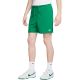 Herren-Shorts Nike Club grün FN3520 365