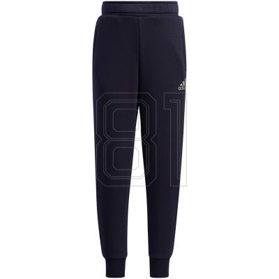16. Adidas LK Holiday Set Jr Trainingsanzug H40344