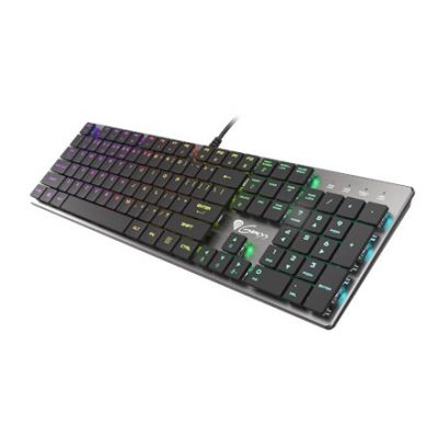 9. GENESIS Thor 420 RGB Gaming-Tastatur USB AZERTY US-Englisch Silber