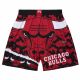 Mitchell & Ness NBA Chicago Bulls Jumbotron 2.0 Sublimierte Shorts