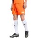 Herren adidas Entrada 26 Shorts orange JZ2512